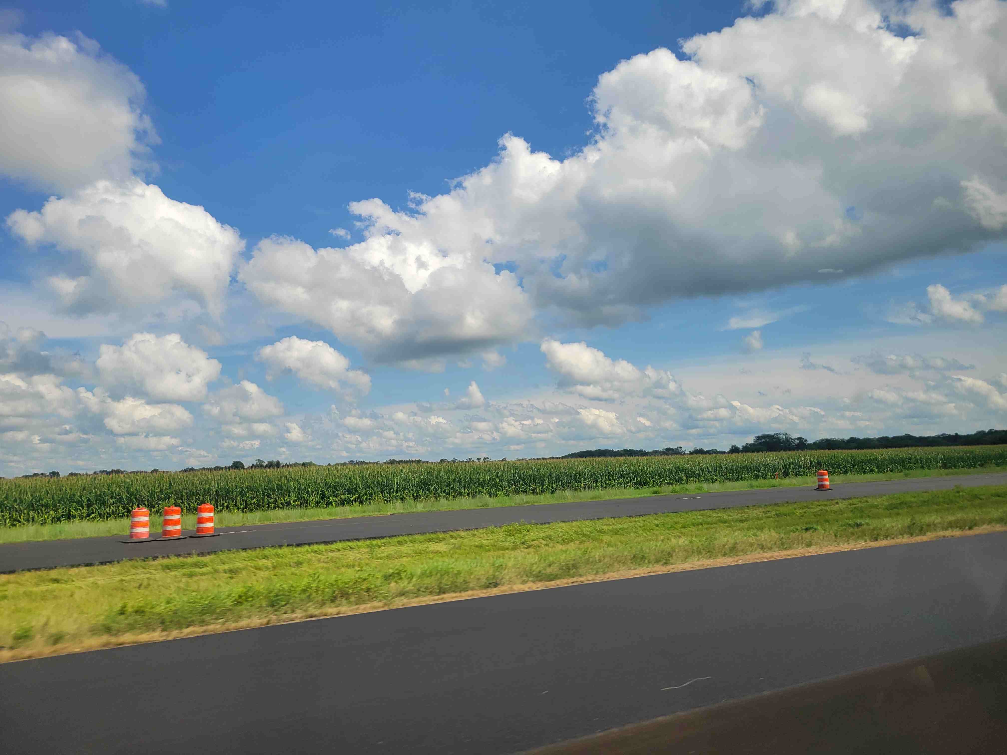 2025-08-12 CORN.jpg